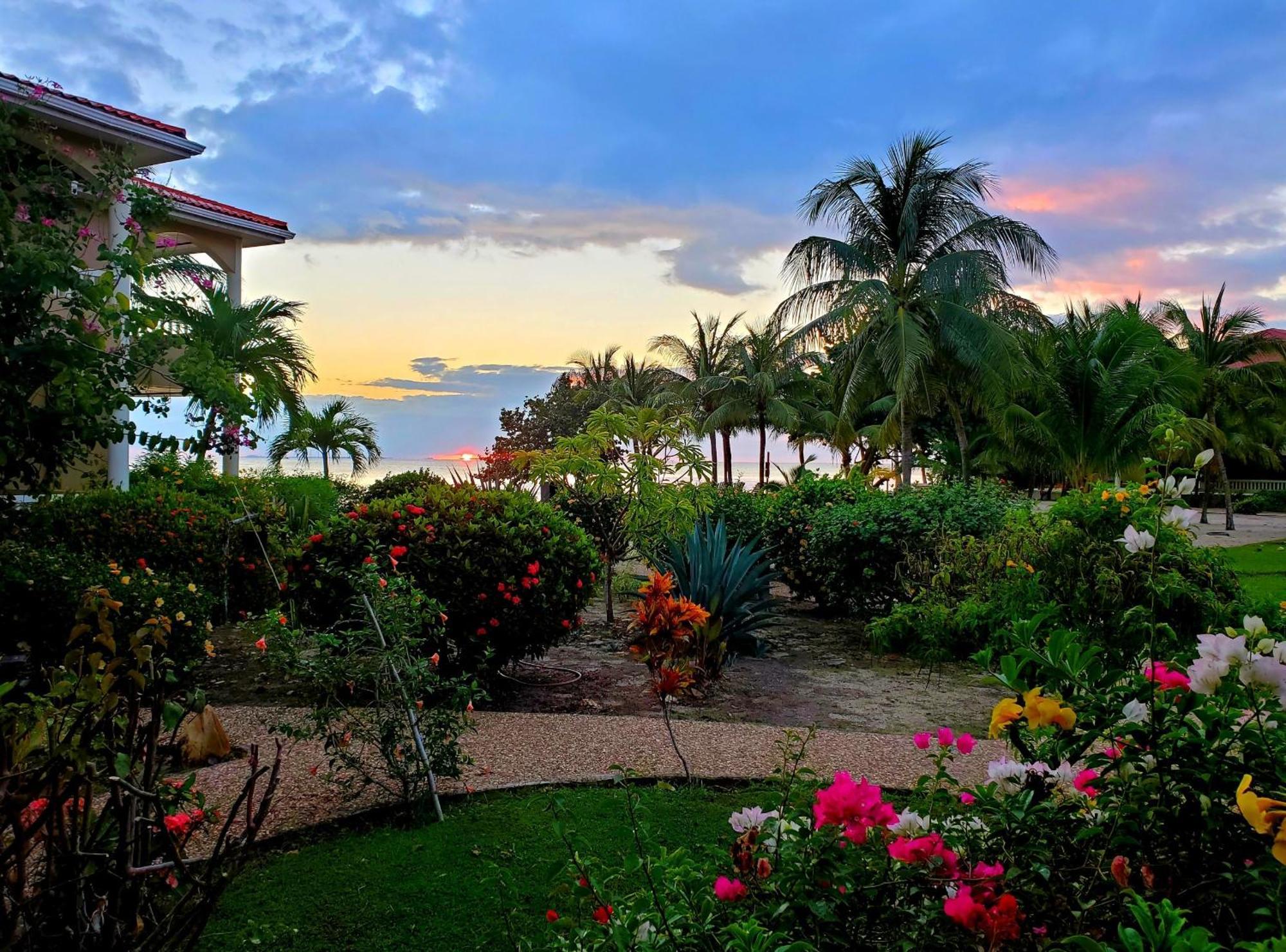 Los Porticos Placencia Pokój zdjęcie